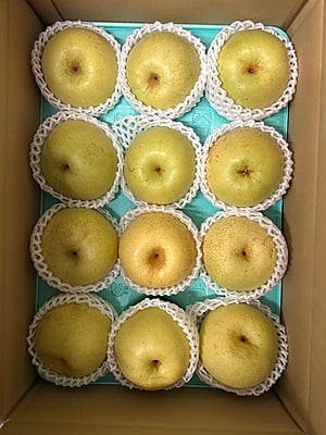PEAR JAPAN