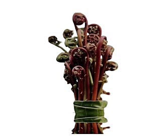 KARAN KOKU LEAVES (200gm)