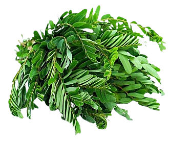 Kathurumurunga (200gm)