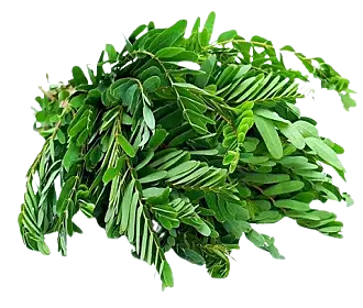 Kathurumurunga (200gm)
