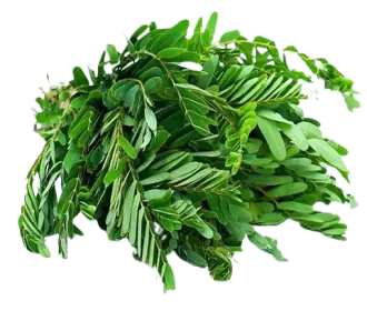 Kathurumurunga (200gm)