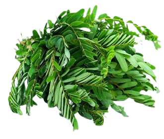 Kathurumurunga (200gm)