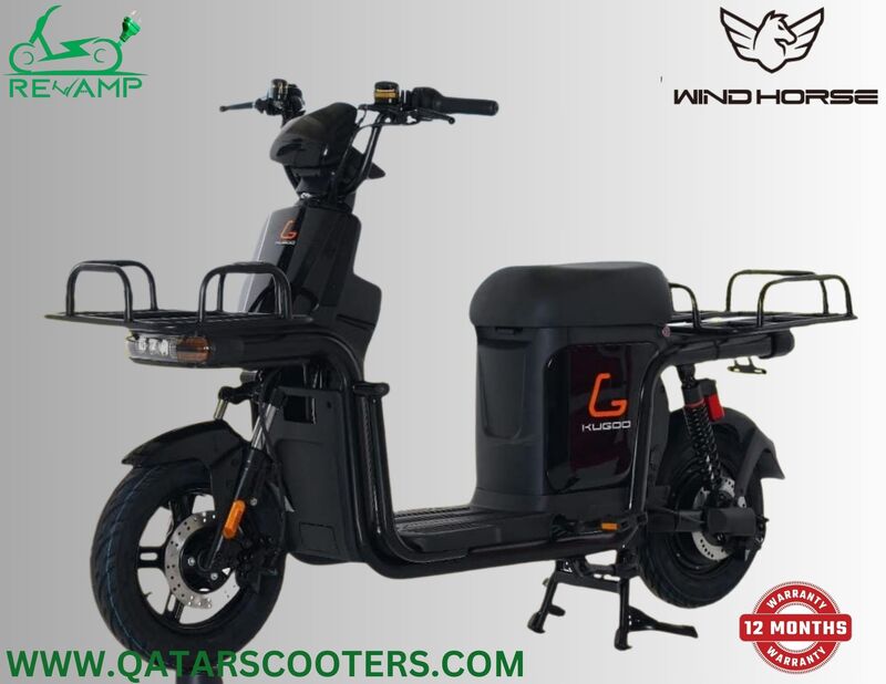 Kugoo T3 Electric Scooter