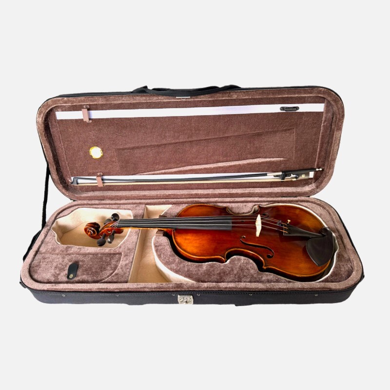 Viola 4/4 Andante model