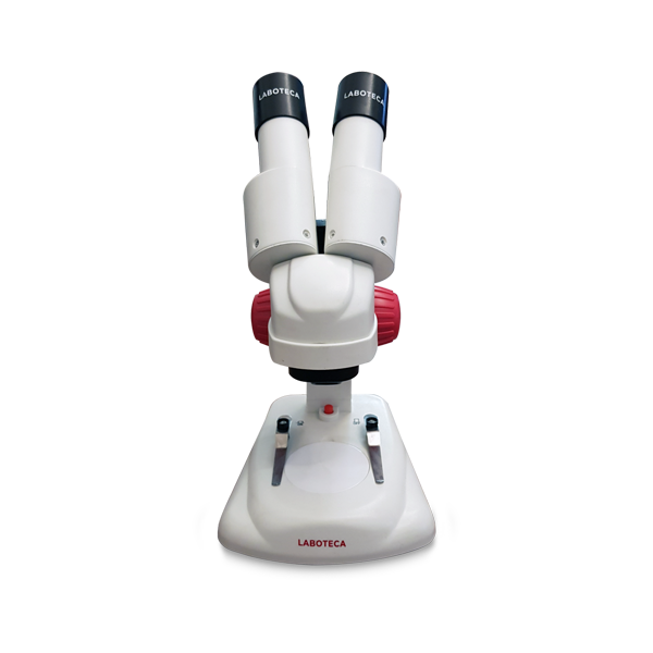 Microscopio estereoscopico binocular