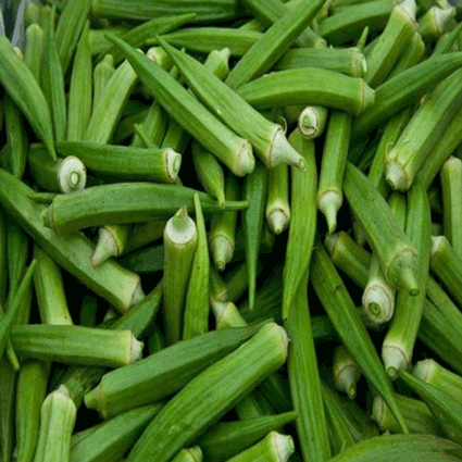 LADIES FINGER LONG GREEN