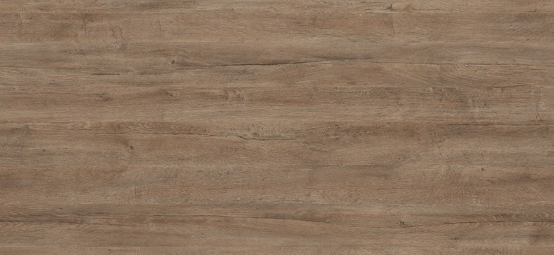 LAKELAND OAK 3