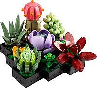 LEGO The Botanical Collection 10309 Succulents