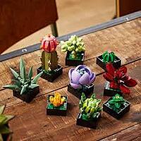 LEGO The Botanical Collection 10309 Succulents