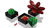 LEGO The Botanical Collection 10309 Succulents