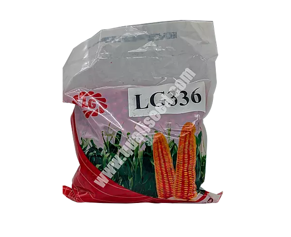 YELLOW MAIZE LG 336