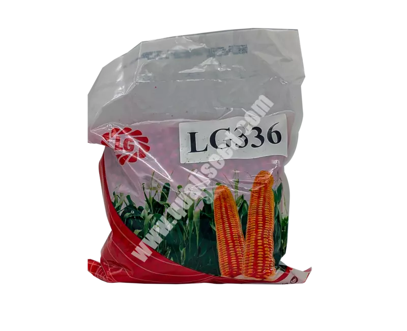 YELLOW MAIZE LG 336