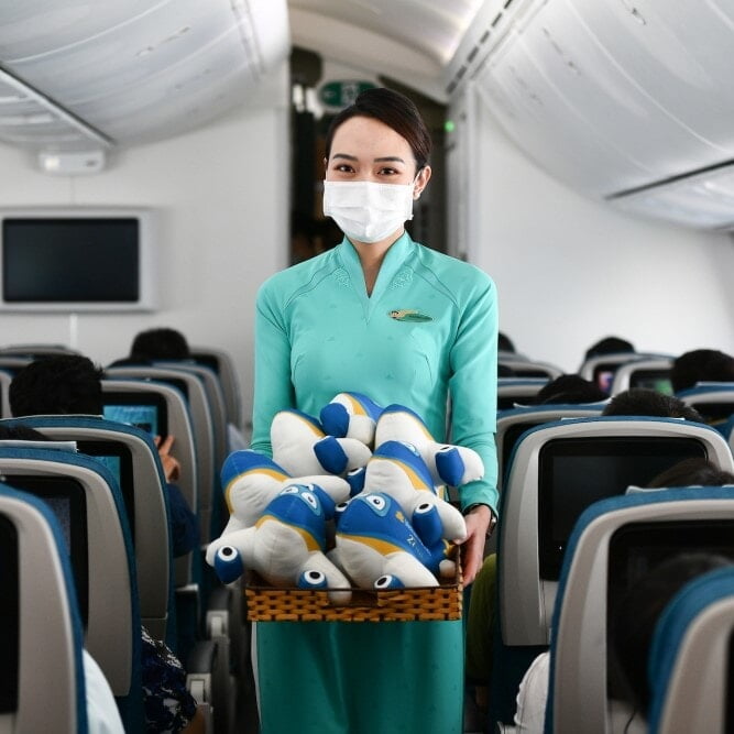 Linh Vật Máy Bay Vietnam Airlines Linh Vật Máy Bay Vietnam Airlines