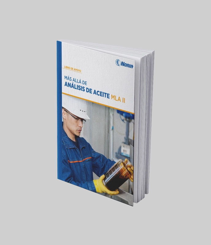 Libro impreso: Apoyo MLA II
