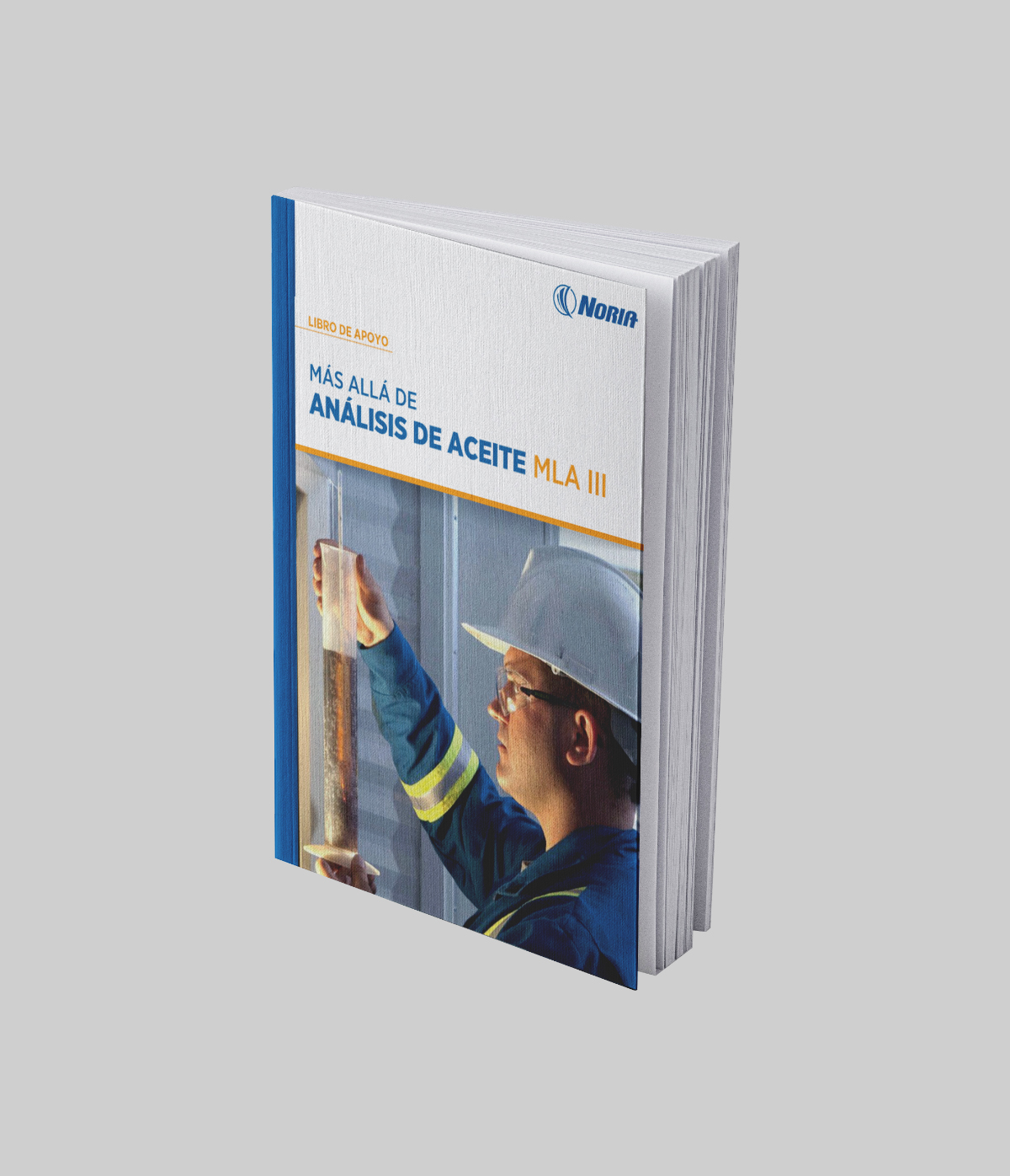 Libro impreso: Apoyo MLA III