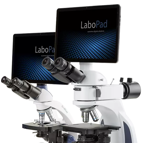 LaboPad