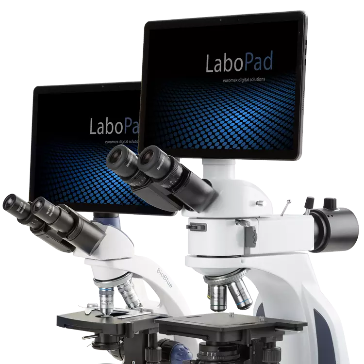 LaboPad