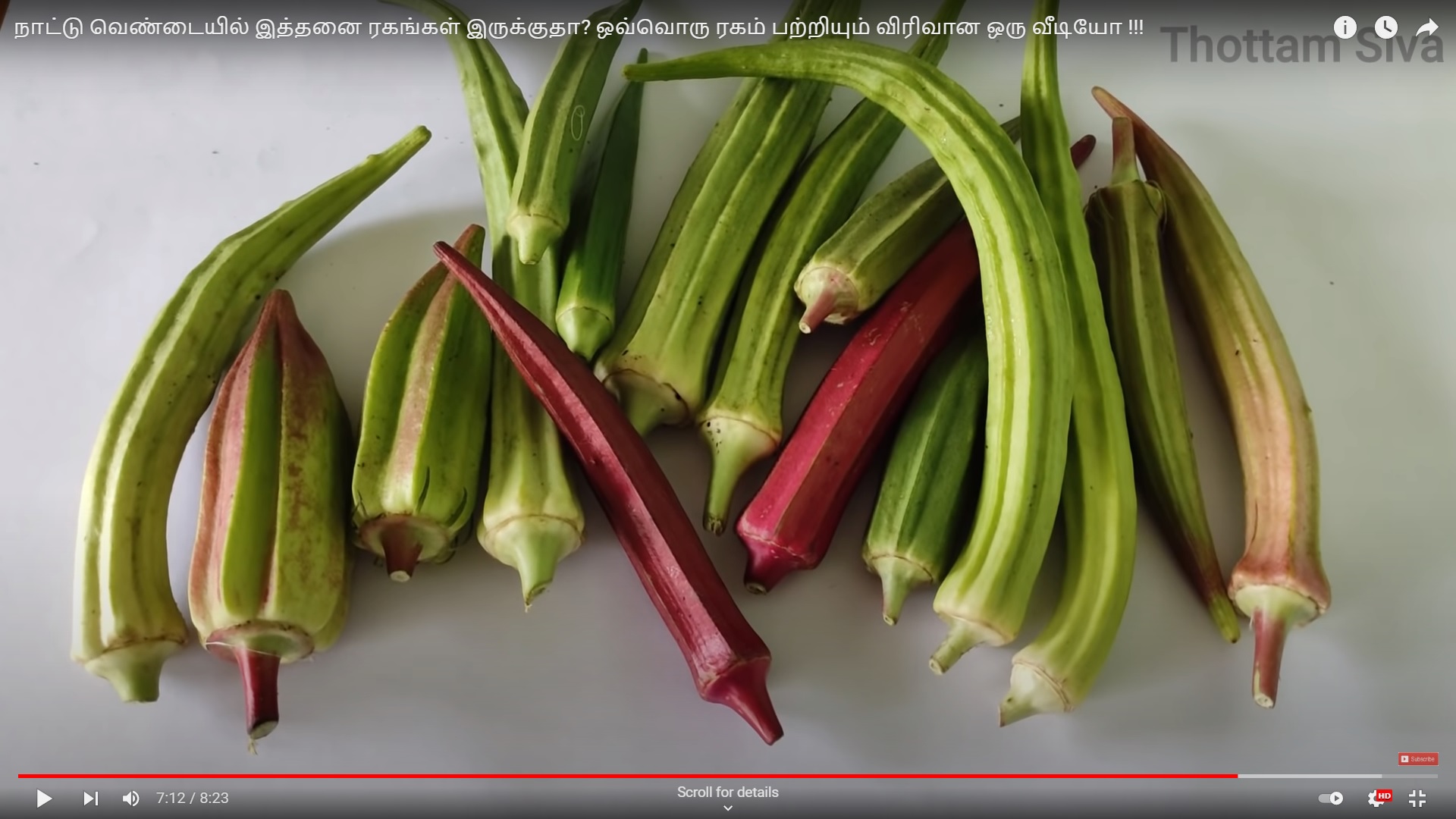 Ladies Finger - Long Paruman ( பச்சை பருமன் நீள வெண்டை)
