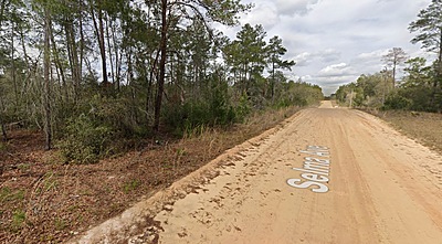 Unnamed Selma Ave. - Affordable .22 Acre Vacant Lot Interlachen, FL