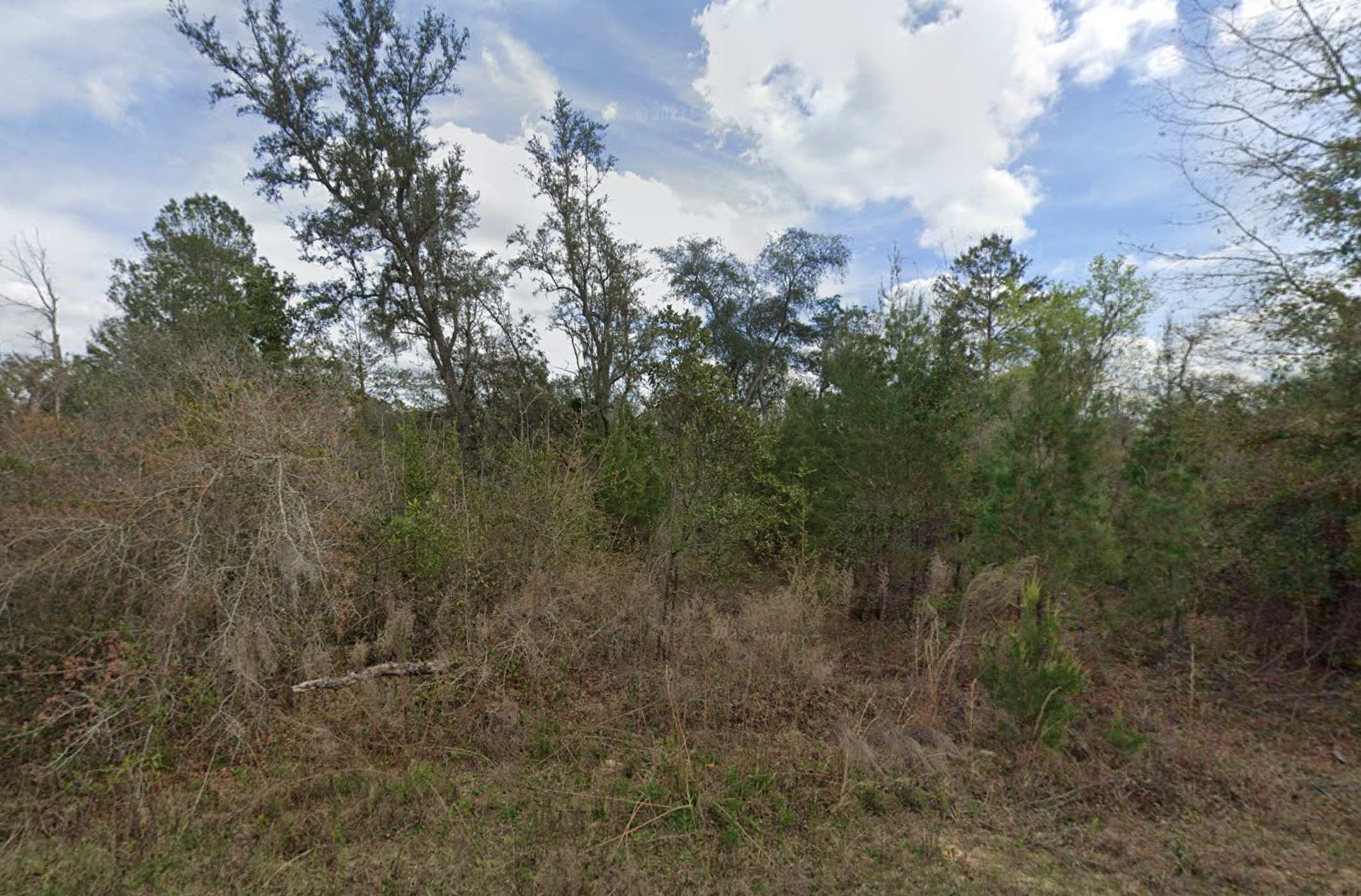 Unnamed Theresa Avenue - Affordable Vacant Lot in Interlachen