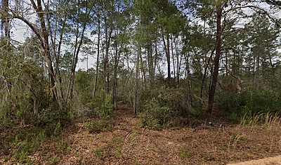 Unnamed Selma Ave. - Affordable .22 Acre Vacant Lot Interlachen, FL