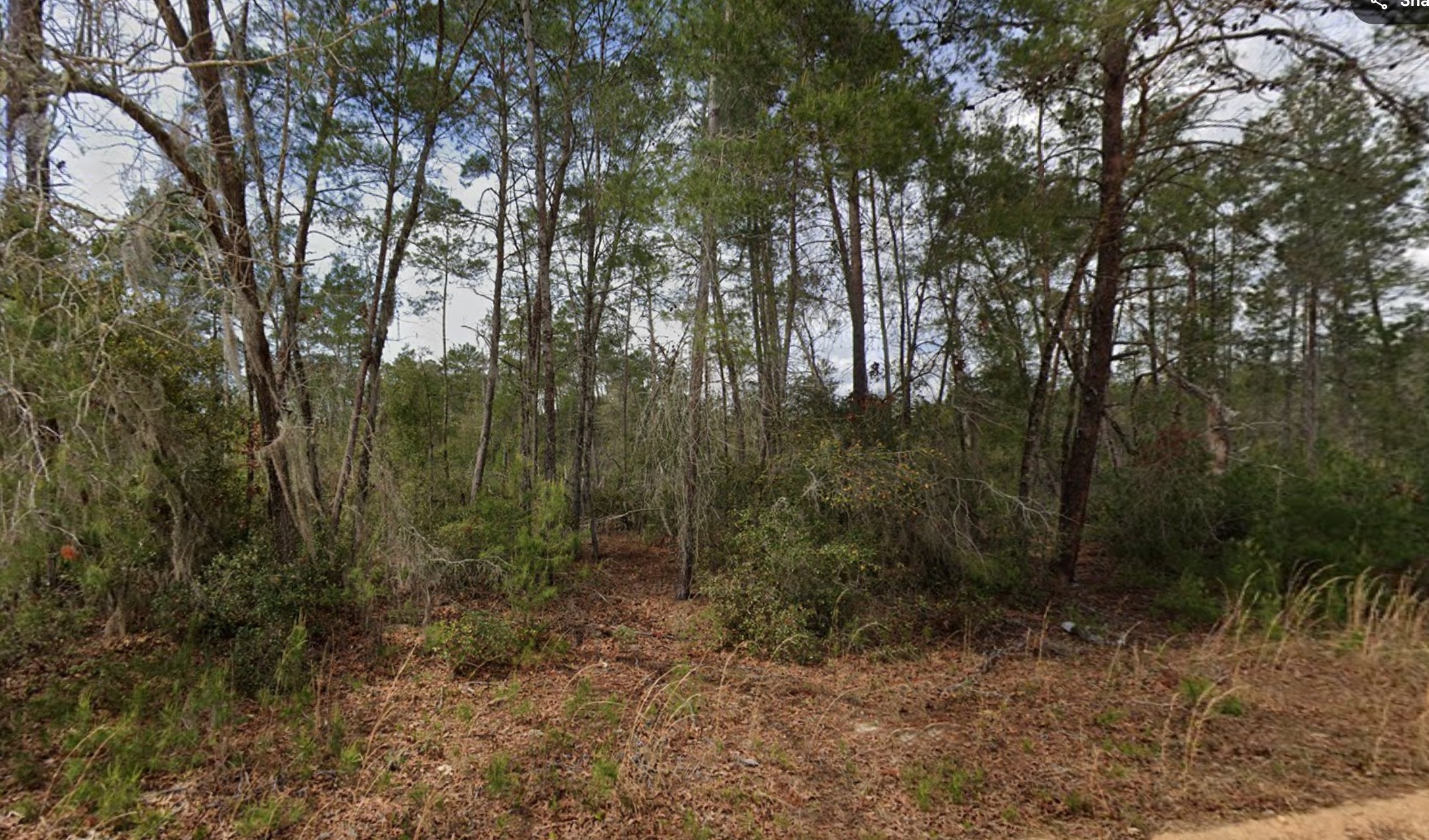 Unnamed Selma Ave. - Affordable .22 Acre Vacant Lot Interlachen, FL