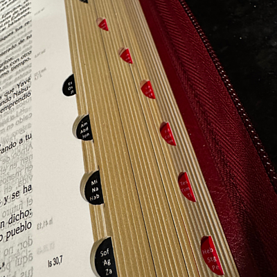 La Biblia Latinoamérica Letra Grande,  Imitación piel, cierre-cremallera / rojo