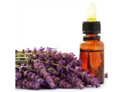 Lavender Essential Oil Lavender Essential Oil