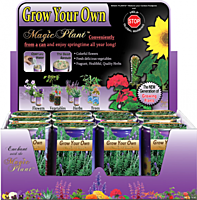 Lavender Herb Growing Kit