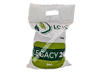 YELLOW MAIZE LEGACY 26