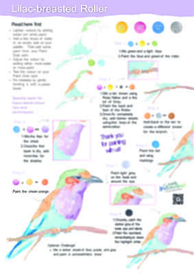 Purple-breasted Roller Instruction Poster
