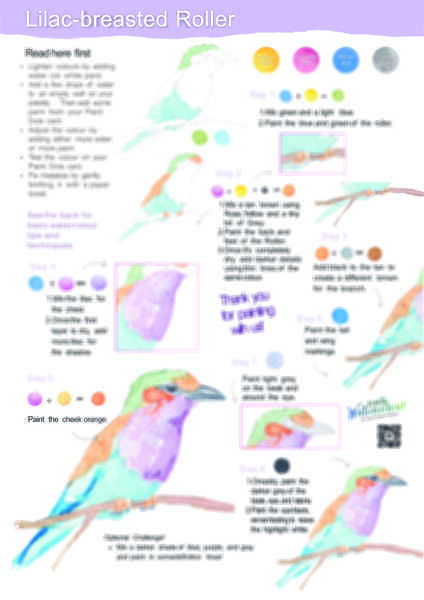 Purple-breasted Roller Instruction Poster