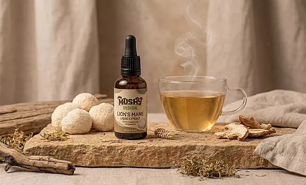 Lion's Mane Mushroom Liquid Extract