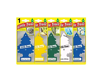 Little Trees- Car Air Freshener - Display of 96