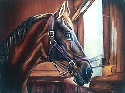 Horse Looking Out The Stable Window by Tiffany Maré