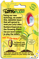 Lotto Plant Card - Grow Lucky Numbers