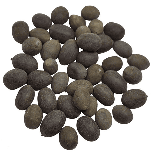 Kamal Khakdee / Lotus Seeds