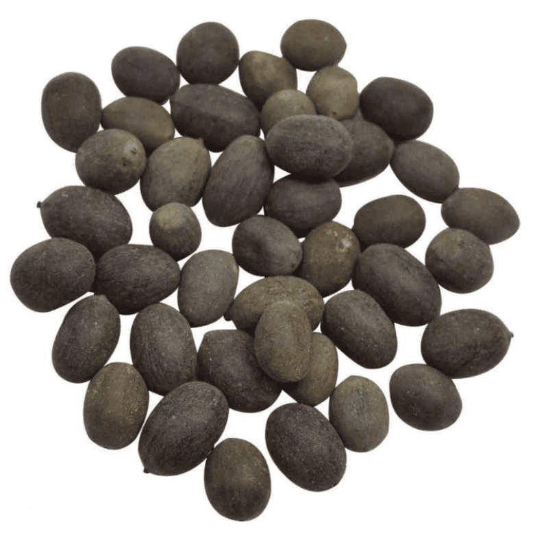 Kamal Khakdee / Lotus Seeds
