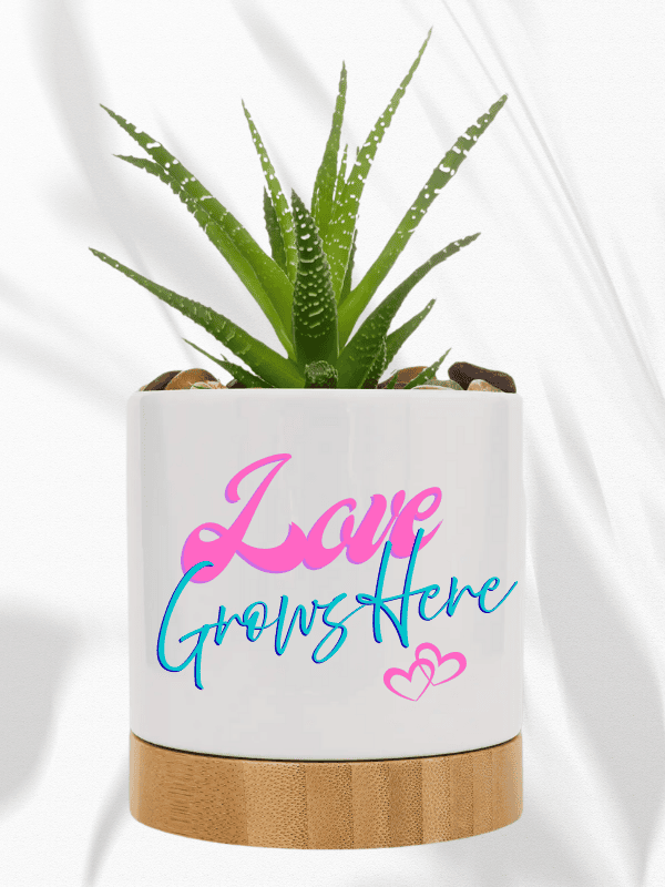 Ceramic Pot with Bamboo Tray