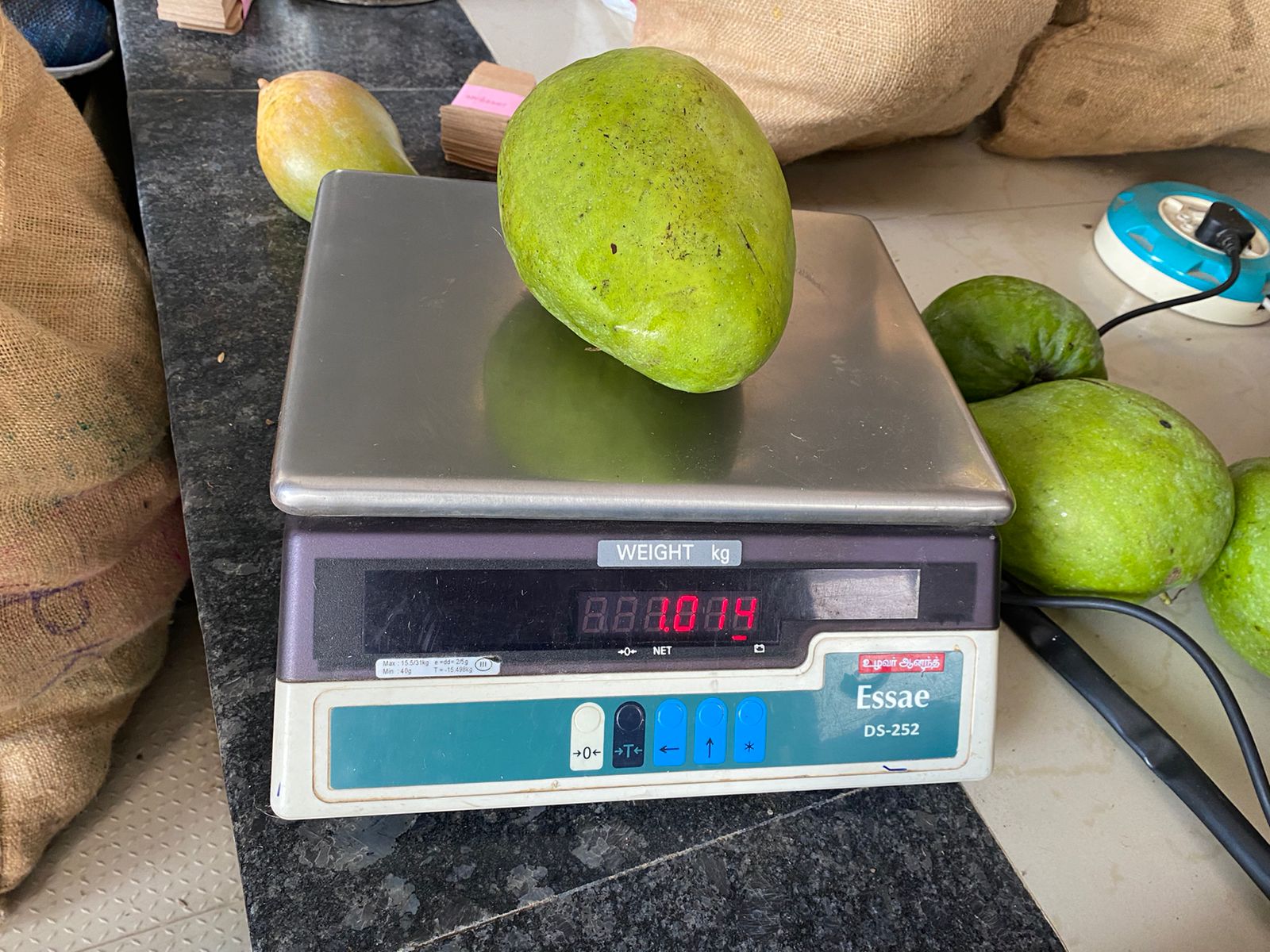 Banganapalli Mango