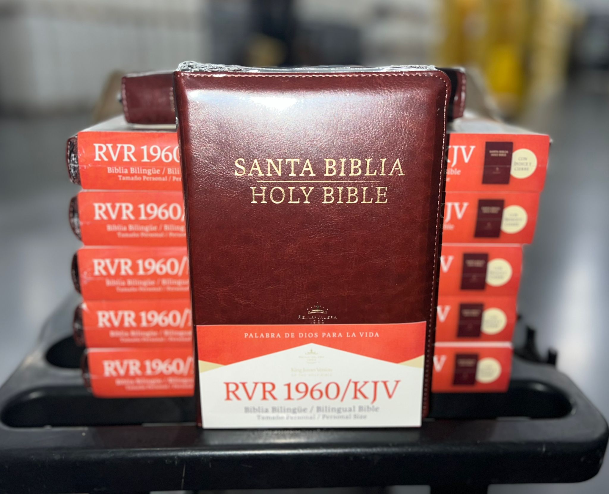 Biblia Bilingue, Manual / Letra Pequeña / Imitación Piel / With Index and Zipper / RVR 1960 Marrón /Caja de 12 unidades