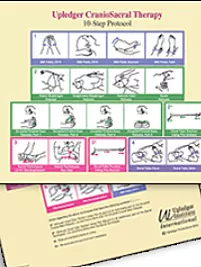 CST 10-Step Protocol Mini Poster