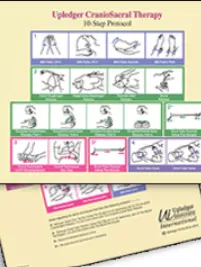 CST 10-Step Protocol Mini Poster