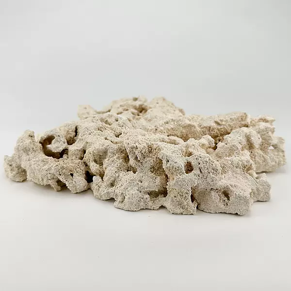 Marco Rock  Foundation - Natural