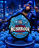 TRE HOUSE MUSHROOM GUMMIES RASPBERRY