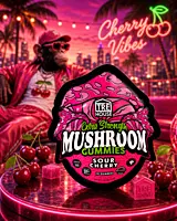 TRE HOUSE MUSHROOM GUMMIES CHERRY
