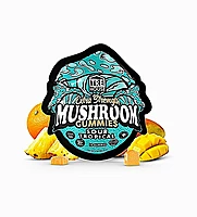 TRE HOUSE MUSHROOM GUMMIES TROPICAL