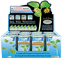 Nature's Greeting Best Wishes Growing Kit