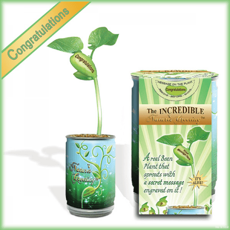 Nature's Greeting Congratulations Growing Kit