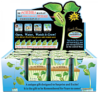 Nature's Greeting Congratulations Growing Kit